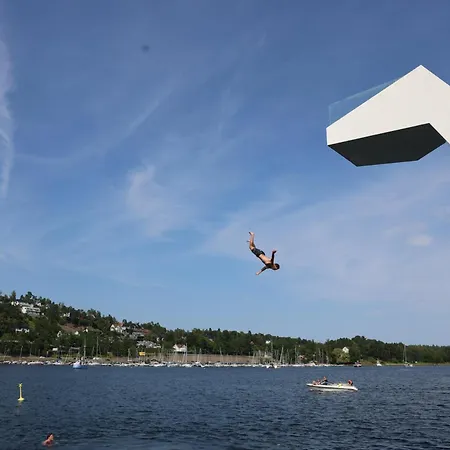 Big With Panoramic Views, Terrace, Pool, Close To Oslo *